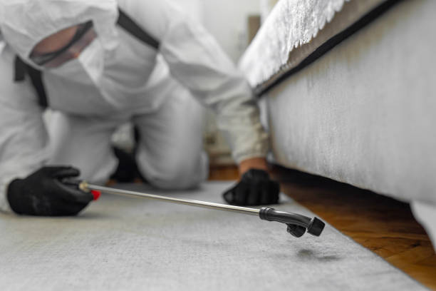 Professional Bed Bug Control technician working in Sherrelwood, CO
