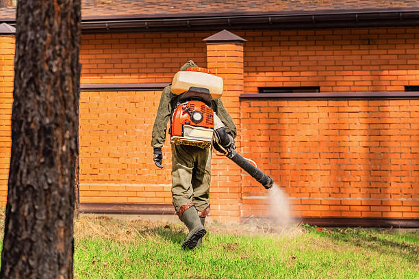 Trusted Ant Control service in Sherrelwood, CO - Nex Pest Control